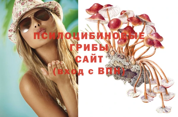 молекула духа Коряжма