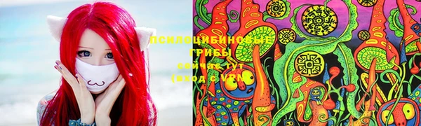 стаф Краснослободск