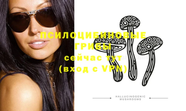 молекула духа Коряжма