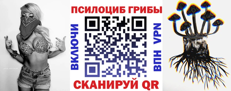 Псилоцибиновые грибы MAGIC MUSHROOMS  Могоча 